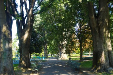 Milan (İtalya), 18 Eylül 2025 - Nature / Parco Giovanni Testori - Giovanni Testori Parkı, eski adıyla Campo dei Fiori Parkı, İtalya 'nın Milano kentinde bir parktır. (Edson de souza 2nci bölüm))             