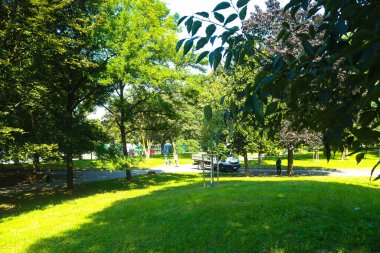 Milan (İtalya), 18 Eylül 2025 - Nature / Parco Giovanni Testori - Giovanni Testori Parkı, eski adıyla Campo dei Fiori Parkı, İtalya 'nın Milano kentinde bir parktır. (Edson de souza 2nci bölüm))             