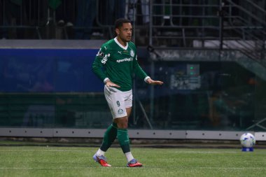 Sao Paulo (SP), 09 / 24 / 2025 Palmeiras 'lı Vitor Roque, Copa Libertadores (leco viana / thews2) çeyrek finalinin ikinci ayağı için geçerli olan Palmeiras (BRA) ve River Plate (ARG) arasındaki maçtaki golünü kutluyor.)