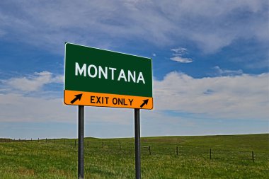 MONTANA Gökyüzü Arkaplanı Üzerine Yeşil Tahta