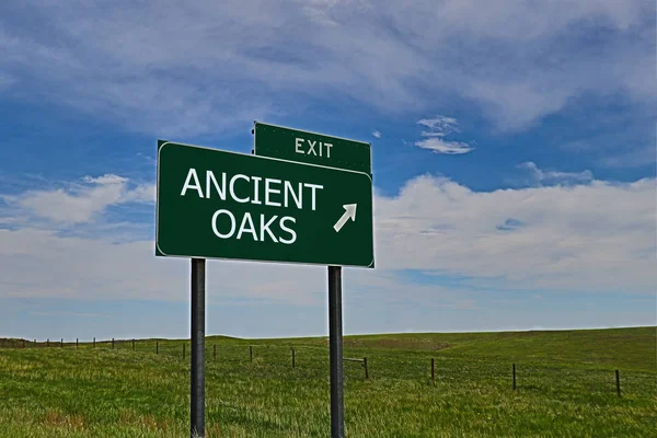 ANCIENT OAKS Gökyüzü Arkaplanı Yeşil Tahtası