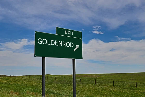 Goldenrod Green Board Auf Dem Hintergrund Des Himmels — Stockfoto