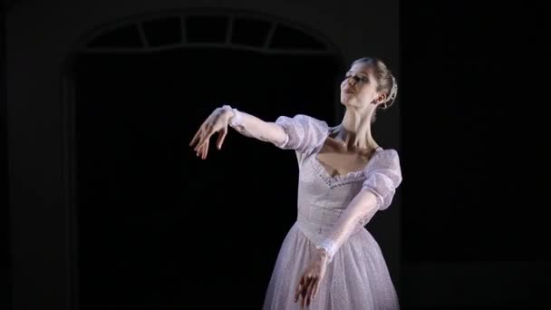 Ballet ruso clásico. Golpea a los bailarines. 16 — Vídeo de stock