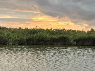 Yaz günbatımı manzara güneşinin batışı güzel Norfolk 'un doğasını koruyor İngiltere sarı gökyüzü yelkenli tekneden ufka ve ağaçlar sazlıklar, arka plan güneş bulutları suyu yansıtıyor