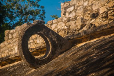 Coba, Meksika. Duvarlarda taş yüzük, Maya sporcular onların kalça ile topu fırlattı vardır.