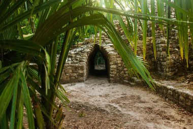 Coba, Meksika, Yucatan: Arkeoloji kompleksi, kalıntıları ve Antik Maya şehirde piramitleri.