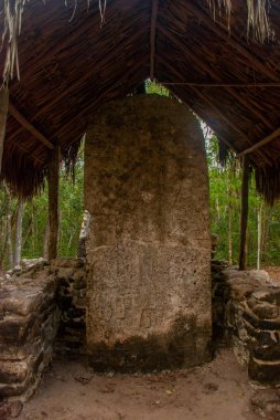 Antik Maya taştan görüntüler. Coba, Meksika, Yucatan. Arkeoloji kompleksi, kalıntıları ve antik Maya şehir piramitleri.