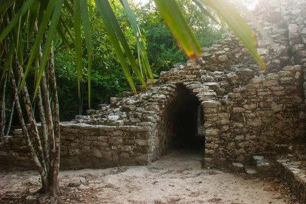 Coba México Antigua Ciudad Maya México Coba Área Arqueológica Famoso — Foto de Stock