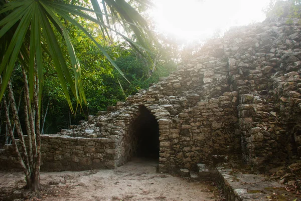 Coba Meksyk Starożytnego Miasta Majów Meksyku Coba Jest Archeologicznego Obszaru — Zdjęcie stockowe