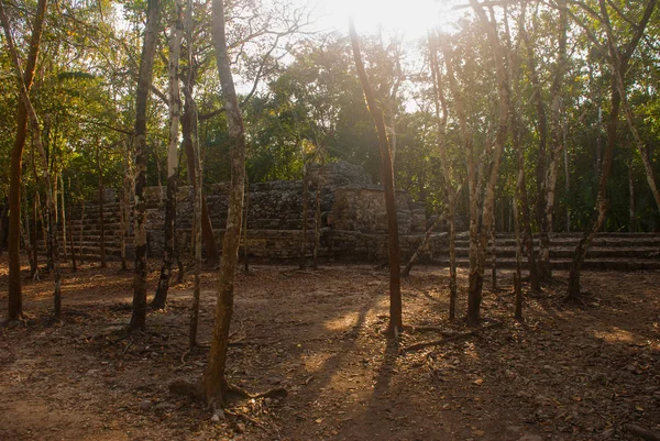 Coba Meksyk Starożytnego Miasta Majów Meksyku Coba Jest Archeologicznego Obszaru — Zdjęcie stockowe