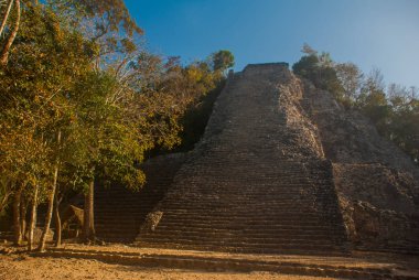 Coba, Meksika, Yucatan: Maya Nohoch Mul Coba piramitte. 120 dar ve dik adımları yukarıda kaldı. Yukarı tırmanma turist en popüler etkinliktir.