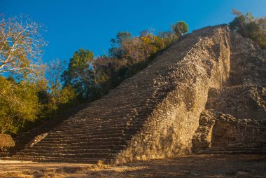 Coba, Meksika, Yucatan: Maya Nohoch Mul Coba piramitte. 120 dar ve dik adımları yukarıda kaldı. Yukarı tırmanma turist en popüler etkinliktir.