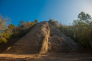 Coba, Meksika, Yucatan: Maya Nohoch Mul Coba piramitte. 120 dar ve dik adımları yukarıda kaldı. Yukarı tırmanma turist en popüler etkinliktir.