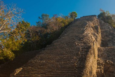 Coba, Meksika, Yucatan: Maya Nohoch Mul Coba piramitte. 120 dar ve dik adımları yukarıda kaldı. Yukarı tırmanma turist en popüler etkinliktir.