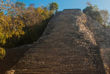 Coba, Meksika, Yucatan: Maya Nohoch Mul Coba piramitte. 120 dar ve dik adımları yukarıda kaldı. Yukarı tırmanma turist en popüler etkinliktir.