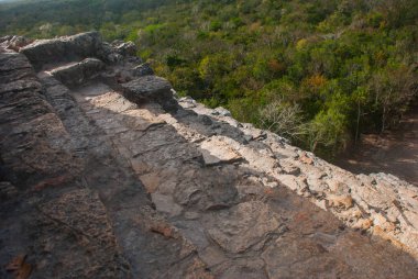 Coba, Meksika, Yucatan: Maya Nohoch Mul Coba piramitte. 120 dar ve dik adımları yukarıda kaldı. Yukarı tırmanma turist en popüler etkinliktir.