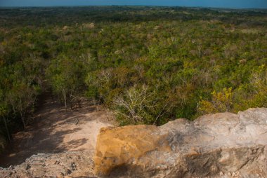 Coba, Meksika. Antik Maya şehir Meksika Hava görünümünü. Coba bir arkeolojik alan ve Yucatan Yarımadası'nın ünlü bir dönüm noktası olduğunu. Orman Meksika pyramids çevresinde