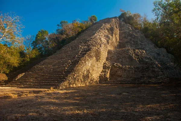 Coba México Yucatán Pirámide Mayan Nohoch Mul Coba Arriba Hay — Foto de Stock