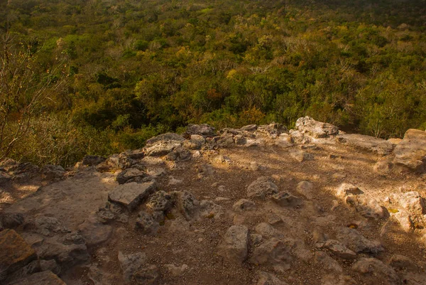 Anciennes Pyramides Mayas Dans Jungle Coba Fouilles Archéologiques Pyramide Coba — Photo