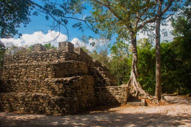 Coba, Meksika, Yucatan: Arkeoloji kompleksi, kalıntıları ve Antik Maya şehirde piramitleri.