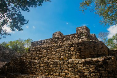 Coba, Meksika, Yucatan: Arkeoloji kompleksi, kalıntıları ve Antik Maya şehirde piramitleri.