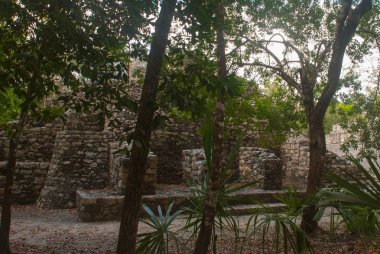 Coba, Meksika, Yucatan: Arkeoloji kompleksi, kalıntıları ve Antik Maya şehirde piramitleri.