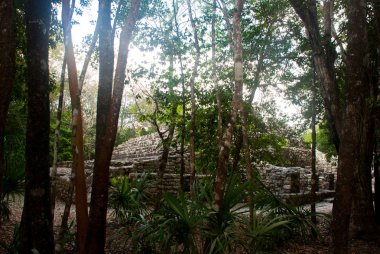 Coba, Meksika, Yucatan: Arkeoloji kompleksi, kalıntıları ve Antik Maya şehirde piramitleri.