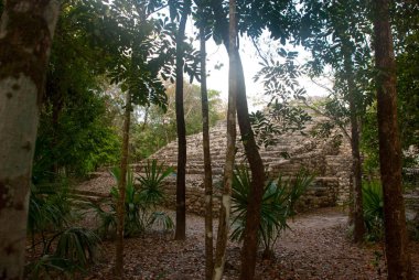 Coba, Meksika, Yucatan: Arkeoloji kompleksi, kalıntıları ve Antik Maya şehirde piramitleri.