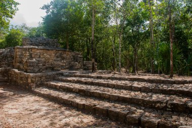 Coba, Meksika, Yucatan: Arkeoloji kompleksi, kalıntıları ve Antik Maya şehirde piramitleri.