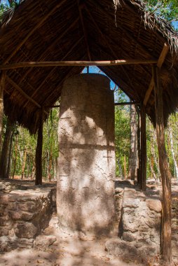 Antik Maya taştan görüntüler. Coba, Meksika, Yucatan. Arkeoloji kompleksi, kalıntıları ve antik Maya şehir piramitleri.