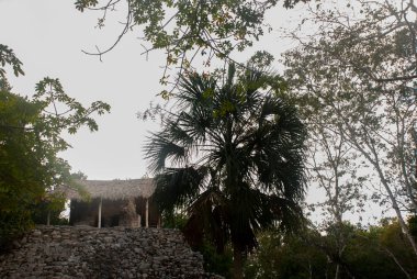 Coba, Meksika, Yucatan: Arkeoloji kompleksi, kalıntıları ve Antik Maya şehirde piramitleri.