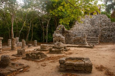 Coba bir arkeolojik alan ve Yucatan Yarımadası'nın ünlü bir dönüm noktası olduğunu. Meksika. Yucatan. Orman Meksika pyramids çevresinde