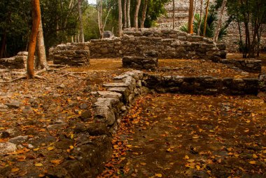 Coba, Meksika, Yucatan: Arkeoloji kompleksi, kalıntıları ve Antik Maya şehirde piramitleri.
