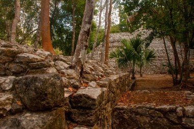 Coba, Meksika, Yucatan: Arkeoloji kompleksi, kalıntıları ve Antik Maya şehirde piramitleri.