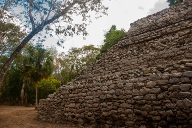 Coba, Meksika, Yucatan: Arkeoloji kompleksi, kalıntıları ve Antik Maya şehirde piramitleri.