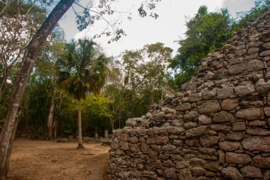 Coba, Meksika, Yucatan: Arkeoloji kompleksi, kalıntıları ve Antik Maya şehirde piramitleri.