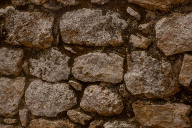 Taş dokusu. Coba, Meksika, Yucatan. Arkeoloji kompleksi, kalıntıları ve Antik Maya şehir piramitleri.