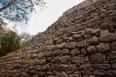 Taş dokusu. Coba, Meksika, Yucatan. Arkeoloji kompleksi, kalıntıları ve Antik Maya şehir piramitleri.