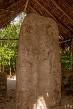 Yazıtlar ve çizimler Maya taş üzerinde büyük plakalı. Coba, Meksika, Yucatan. Arkeoloji kompleksi, kalıntıları ve Antik Maya şehir piramitleri.