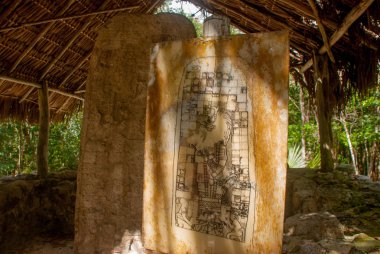 Antik Maya taştan görüntüler. Coba, Meksika, Yucatan. Arkeoloji kompleksi, kalıntıları ve antik Maya şehir piramitleri.