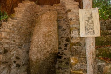 Antik Maya taştan görüntüler. Coba, Meksika, Yucatan. Arkeoloji kompleksi, kalıntıları ve antik Maya şehir piramitleri.