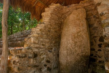 Antik Maya taştan görüntüler. Coba, Meksika, Yucatan. Arkeoloji kompleksi, kalıntıları ve antik Maya şehir piramitleri.