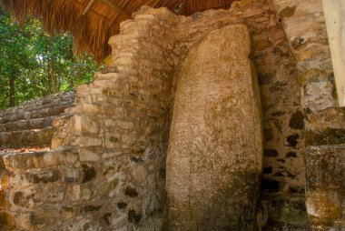 Antik Maya taştan görüntüler. Coba, Meksika, Yucatan. Arkeoloji kompleksi, kalıntıları ve antik Maya şehir piramitleri.