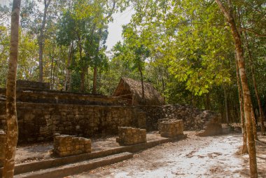 Coba, Meksika, Yucatan: Arkeoloji kompleksi, kalıntıları ve Antik Maya şehirde piramitleri.