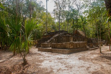 Coba, Meksika, Yucatan: Arkeoloji kompleksi, kalıntıları ve Antik Maya şehirde piramitleri.