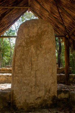 Antik Maya taştan görüntüler. Coba, Meksika, Yucatan. Arkeoloji kompleksi, kalıntıları ve antik Maya şehir piramitleri.