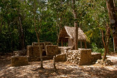 Coba, Meksika, Yucatan: Arkeoloji kompleksi, kalıntıları ve Antik Maya şehirde piramitleri.