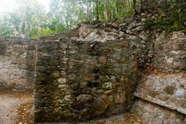 Coba, Meksika, Yucatan: Arkeoloji kompleksi, kalıntıları ve Antik Maya şehirde piramitleri.