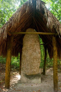 Antik Maya taştan görüntüler. Coba, Meksika, Yucatan. Arkeoloji kompleksi, kalıntıları ve antik Maya şehir piramitleri.