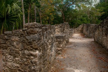 Coba, Meksika, Yucatan: Arkeoloji kompleksi, kalıntıları ve Antik Maya şehirde piramitleri.